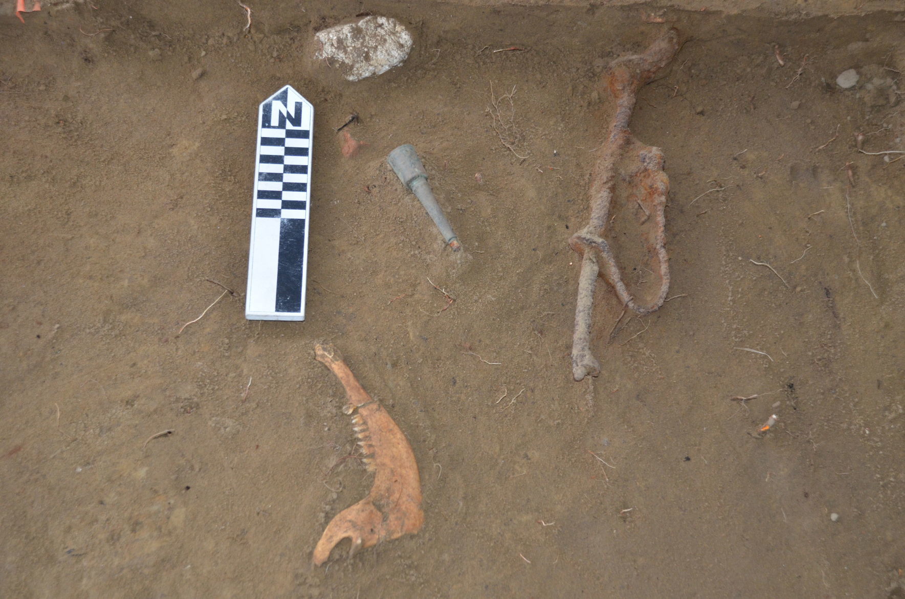 Rogers Island finds